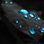 Azure's Avatar'