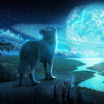 Christiansw's Avatar