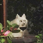 StridentOlive52's Avatar'