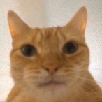 StepFatherBog's Avatar'