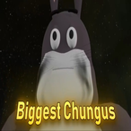 eoin_gavin1's Avatar'
