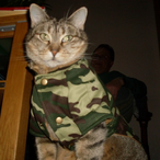 General_Mieze's Avatar'