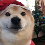 Fiat.Uno.AlPiso's Avatar'