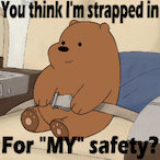 StronkBear's Avatar'