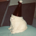 wubbziepoo's Avatar'