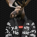 PVT-Moose's Avatar'