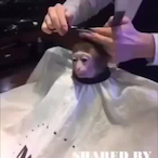 sewegefrooog's Avatar'