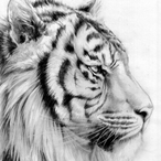 eR_MiLaNeSe_V's Avatar'