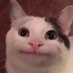 Fokus_Bilbo's Avatar'