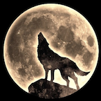 Only_Yisus's Avatar'