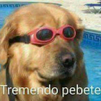 Pebetazo's Avatar'
