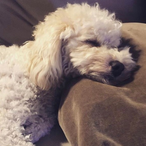 burberry777's Avatar