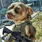 Thebiggdawg97's Avatar'