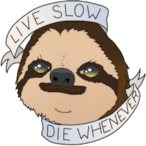 SteamAlpac's Avatar'