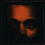 FL4NKS1's Avatar'