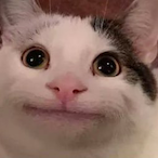 YourEloPls's Avatar'