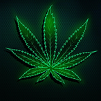 papabiezeps's Avatar'