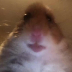 ZsoltiBTW's Avatar'