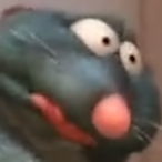 turtle22445's Avatar'