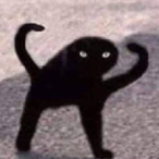 cursedcat_yes's Avatar'