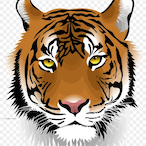 anderdingischunk's Avatar'
