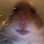 DlNKELBERG's Avatar'