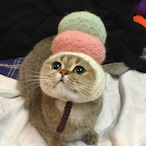 F1nka hea1's Avatar'