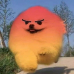 WheresMyLotion's Avatar'