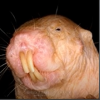 Baldrick445's Avatar'