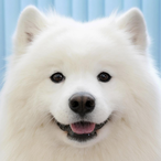 PiNoxX_'s Avatar'