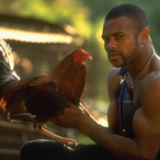 Roy.Jones..Jr's Avatar