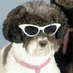 Aysallas's Avatar'
