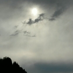 Monsterking34's Avatar'