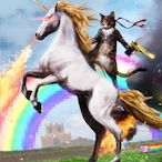 roIIr frags's Avatar'