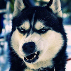 Bol4ik_UwU's Avatar'
