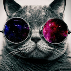 Roxes-'s Avatar'