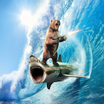 CorpLandShark2's Avatar'
