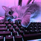 pndu.'s Avatar'