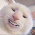 kutsniffer's Avatar'