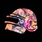 f2 cIip's Avatar'