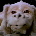 ItsFalkor's Avatar'