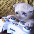 Surely.Alone's Avatar'