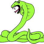 Venom.JYC's Avatar'