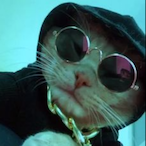 Boerni__'s Avatar'