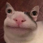 Balintka2006kil's Avatar'