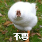 km7nc9's Avatar'