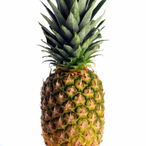 low ranking's Avatar'