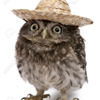 GEEEsquiggle's Avatar'