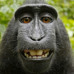 TheMunke's Avatar'