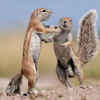 kqhqe.conm's Avatar'